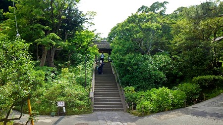 20160514湘南、鎌倉 (41)
