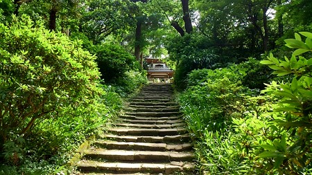 20160514湘南、鎌倉 (39)