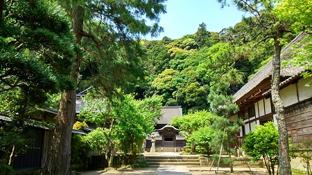 20160514湘南、鎌倉 (35)