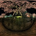 熱海桜 ライトアップ 360°パノラマ写真(1) HDR