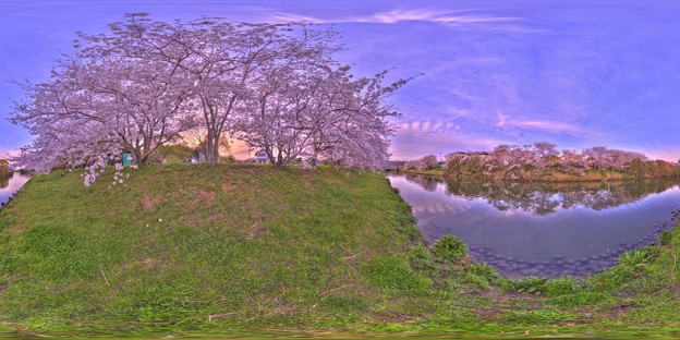 牧之原市 勝間田川の桜 360度パノラマ写真(7) HDR