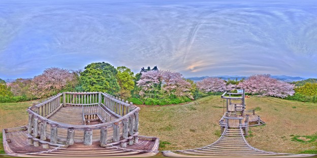 Photos: 2016年4月9日　谷津山　桜　360度パノラマ写真(3) HDR