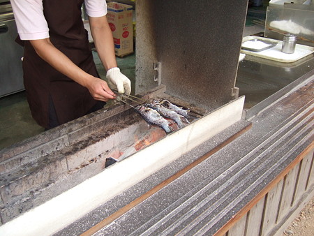 12岩魚