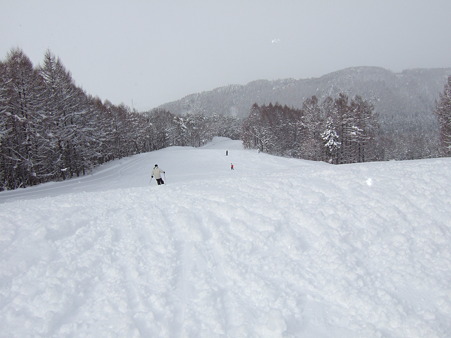 今日は圧雪なしなの