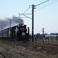 Photos: SL銚子　D51498+旧型客車+DE10 1752　（16）