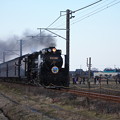 Photos: SL銚子　D51498+旧型客車+DE10 1752　（17）