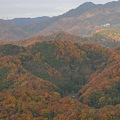 裏山から