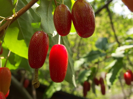 P6130151e