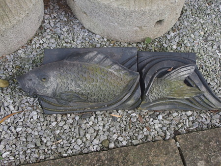 P7130505