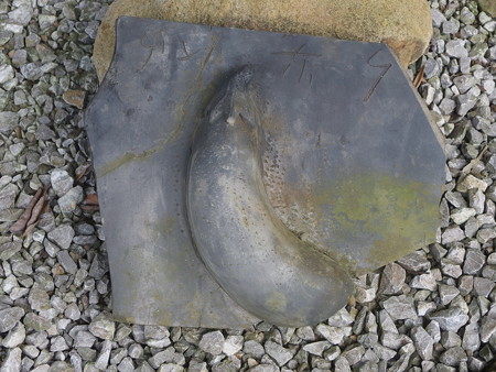 P7130506