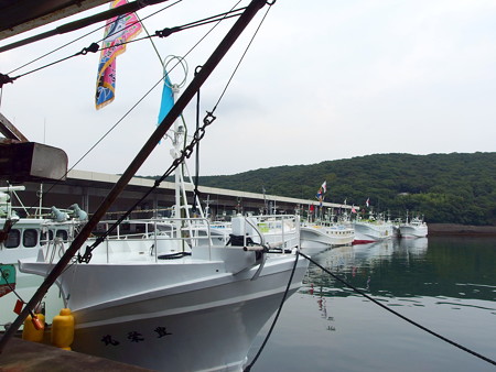 P7200627e