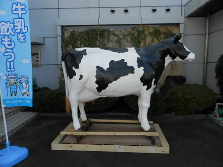 P7234028