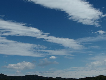 P8100944