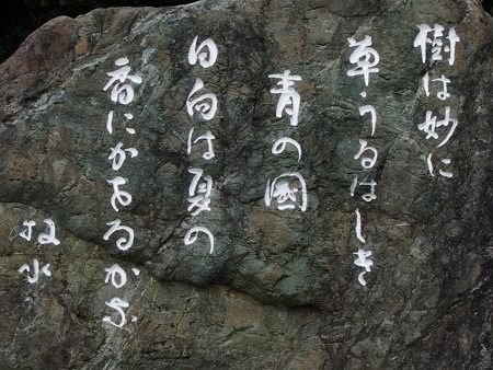 P8100991