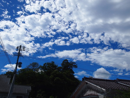 P8102261