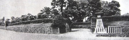 P8171262ew