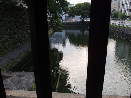 P8171285