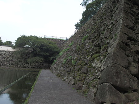 P8171293