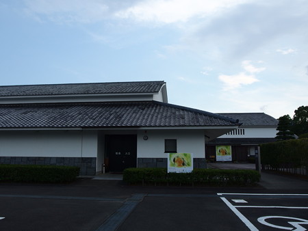 P8231343