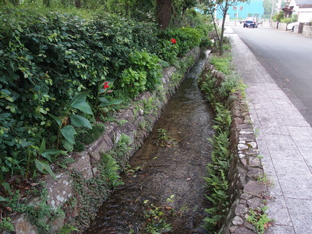 P8231345