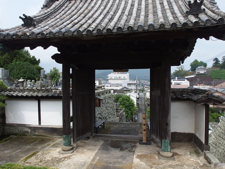 P9071589