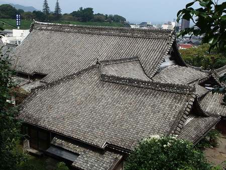 P9071628