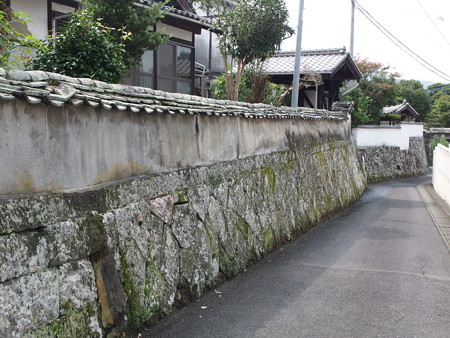 P9071636