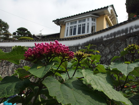 P9071662
