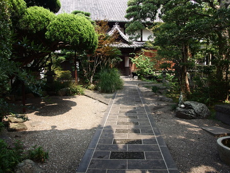 P9071718