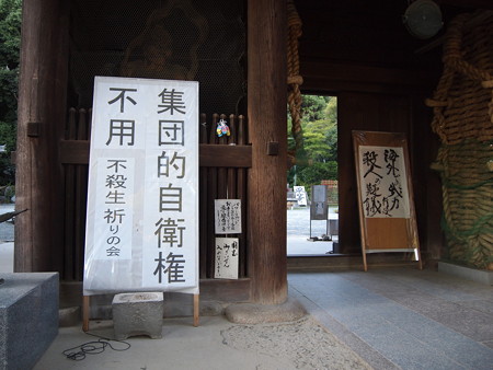 P9133659