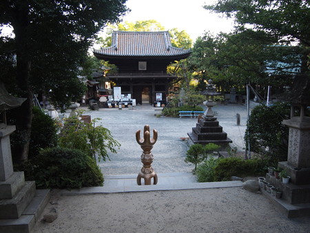 P9133663