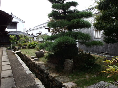 P9142295