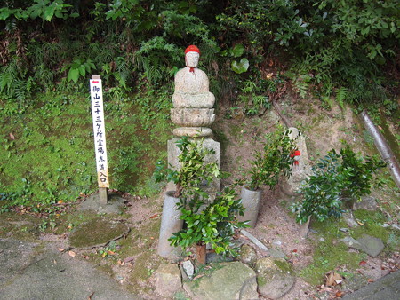 P1013773