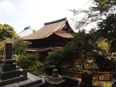 P1013774