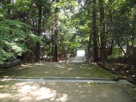 P1013781