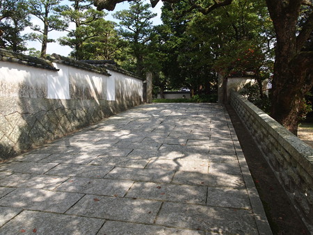 P1013787