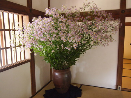 P1013790