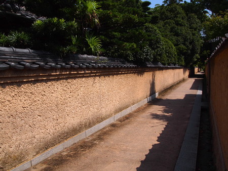 P1013857
