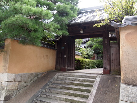 P1013876