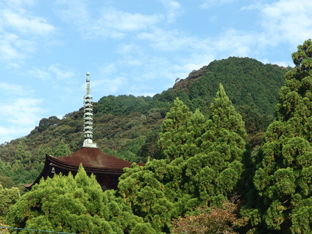 P9236025