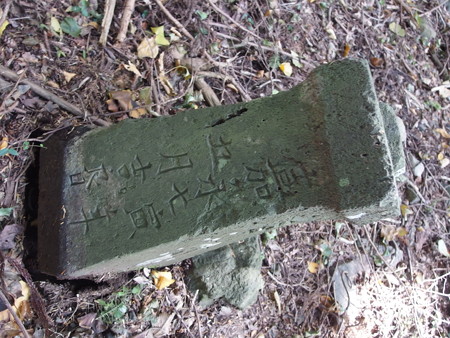 PA116204