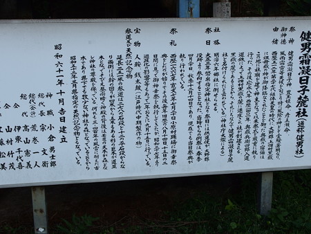 PA116214