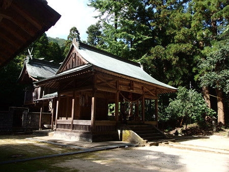 PA116226