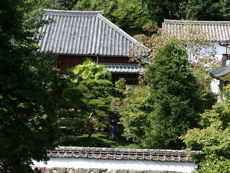 PA046066