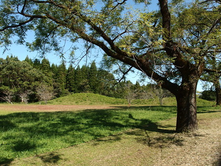 PA186373