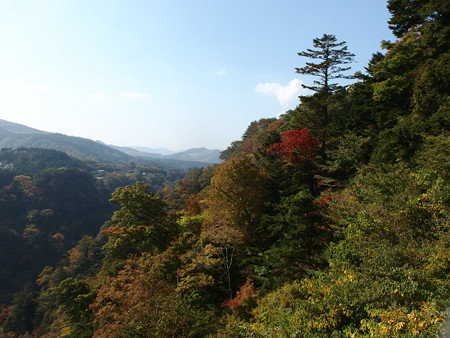 PA236538