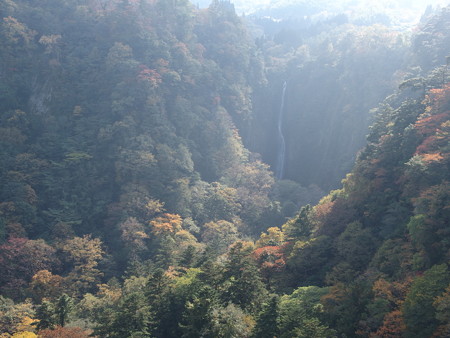 PA236544