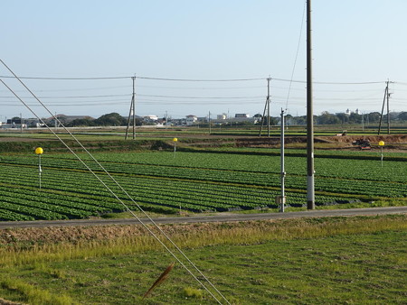 PA256710