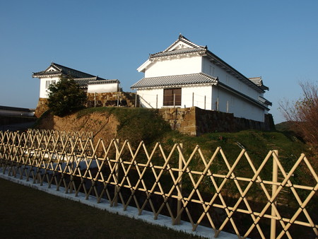 PA256681