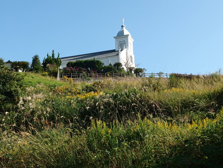 PA256730